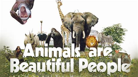 animals are beautiful people fake